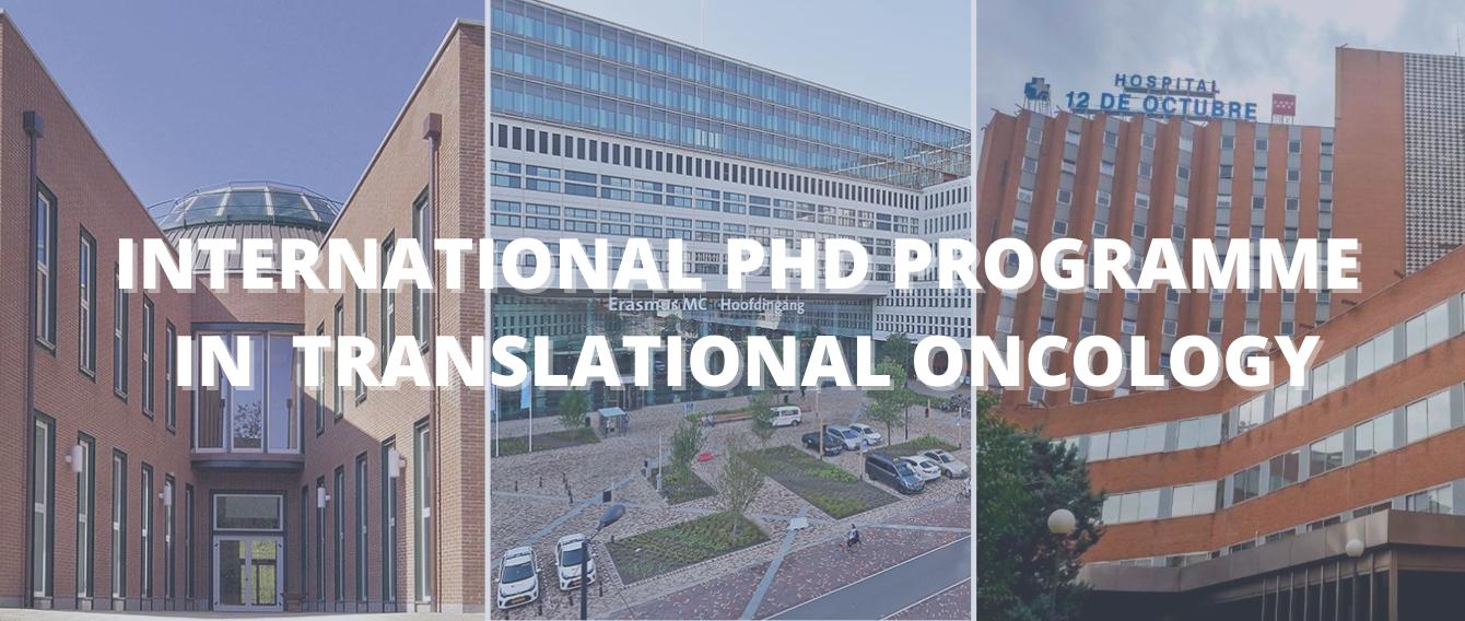 International PhD Programme in Translational Oncology